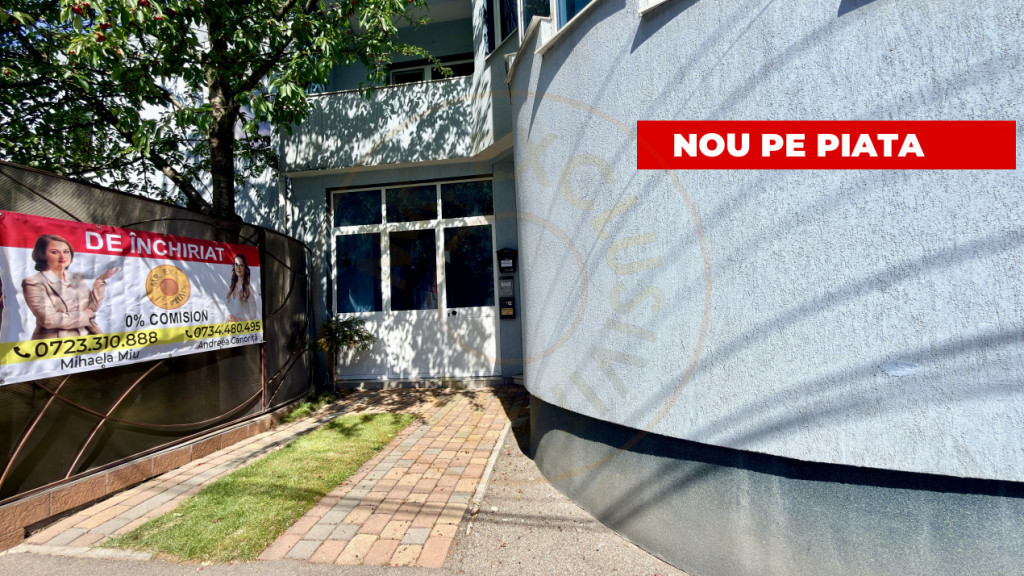 Inchiriere spatiu birou Ultracentral Pitesti