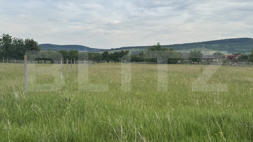 1100 mp de teren intravilan în Livezile, perfect pentru con