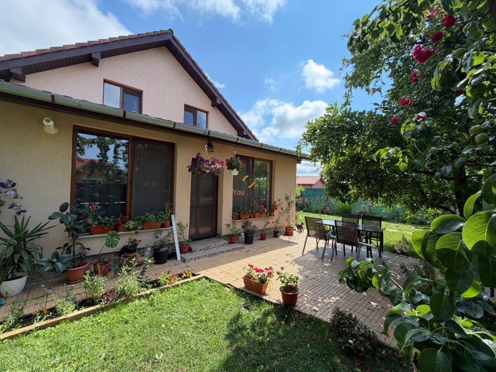 Casa Individuala Sanmihaiu Roman