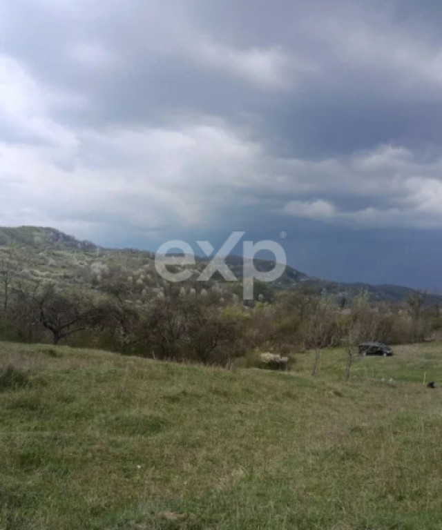Teren extravilan de vânzare Tigveni | 4.944 mp | Panoramă
