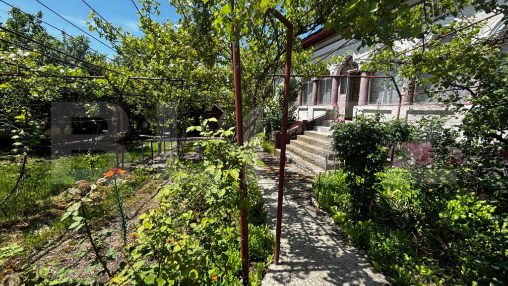 Proprietate cu 2 case bătrânești, 3.345 mp teren, comuna