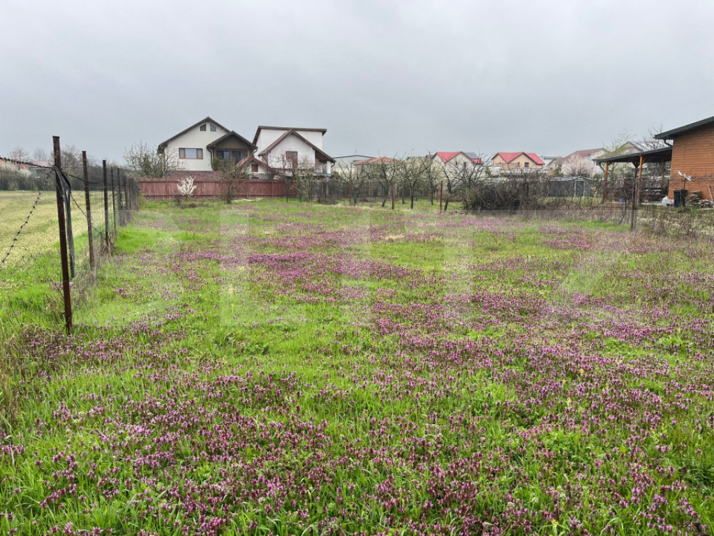 Teren 650 mp, front 13 ml, Selgros - zona Little Town