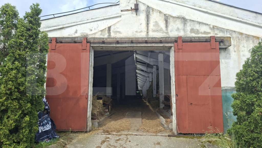 Hale industriale de vanzare, 3000 mp, teren 15000 mp - Maier