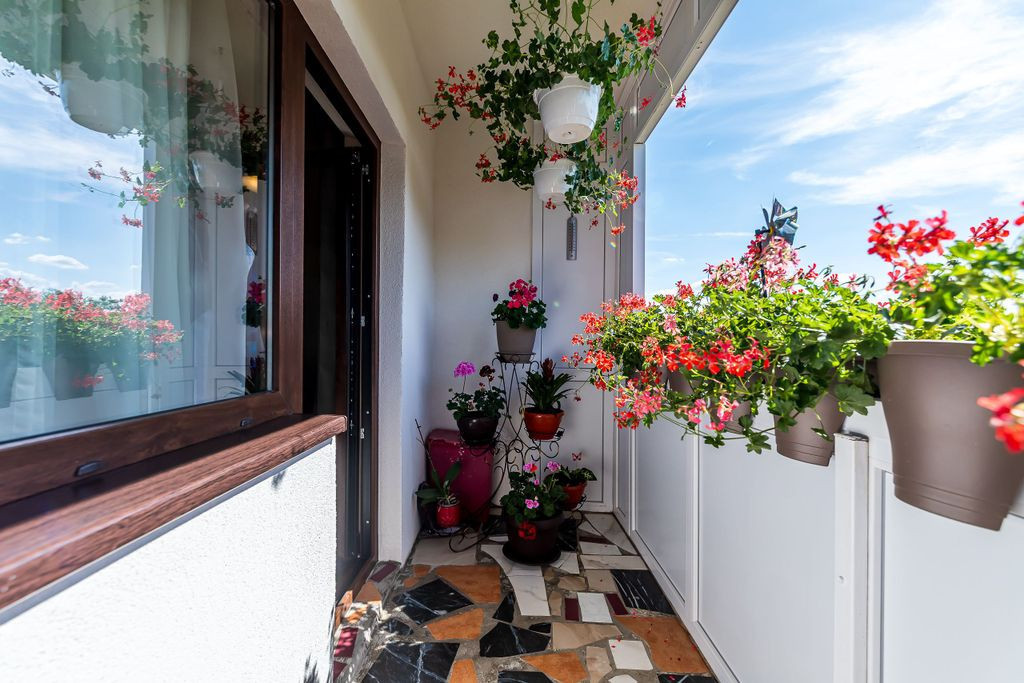 REDUS Apartament renovat cu 2 camere Micalaca etaj 3 Comi...