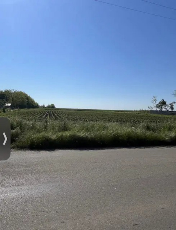 Teren intravilan 51000 mp - Oportunitate rara in Vasilati, C
