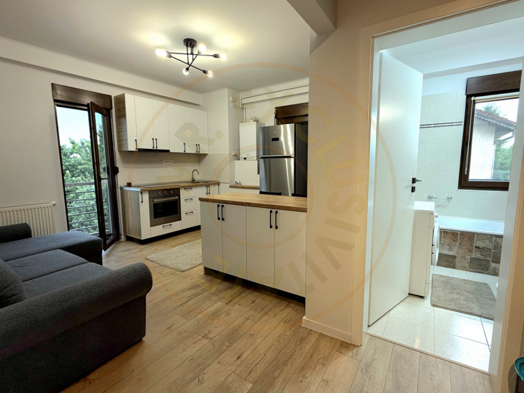 Apartamentul de langa râu