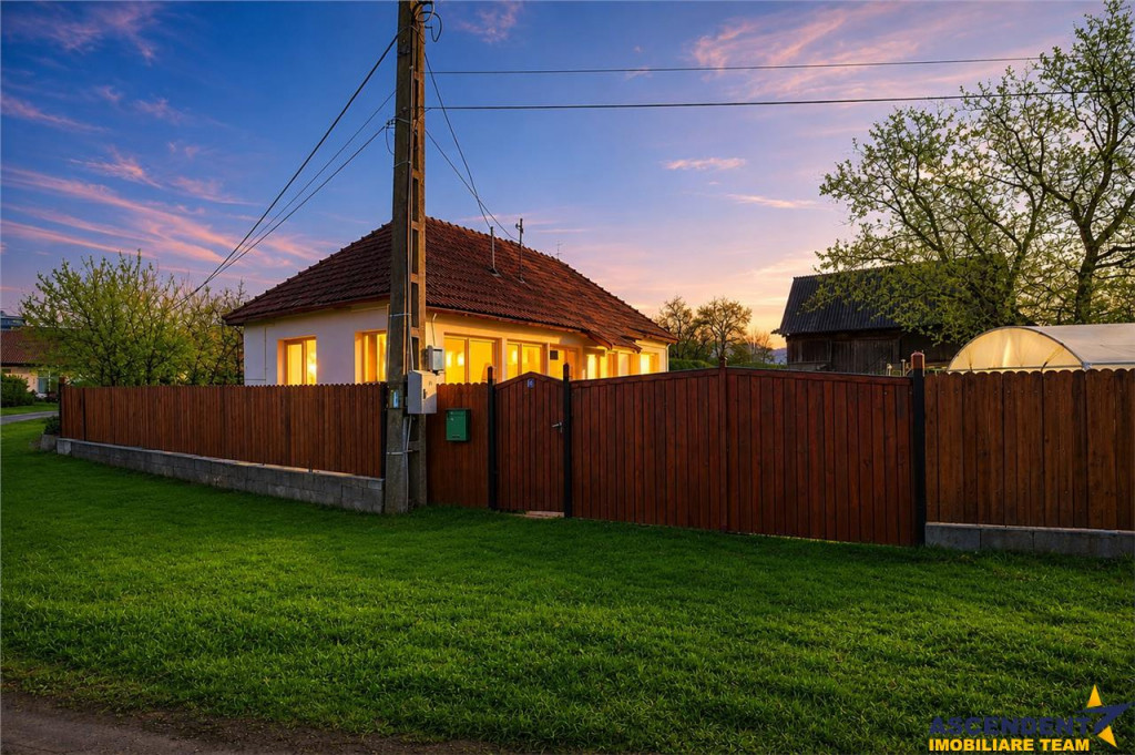 FILM! Casa cu sura, pivnita, balta cu pesti, 2.280 mp teren