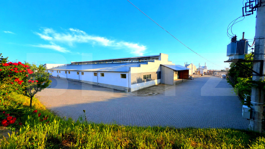 Proprietate industrială premium în Blaj – hale 3.343 mp,