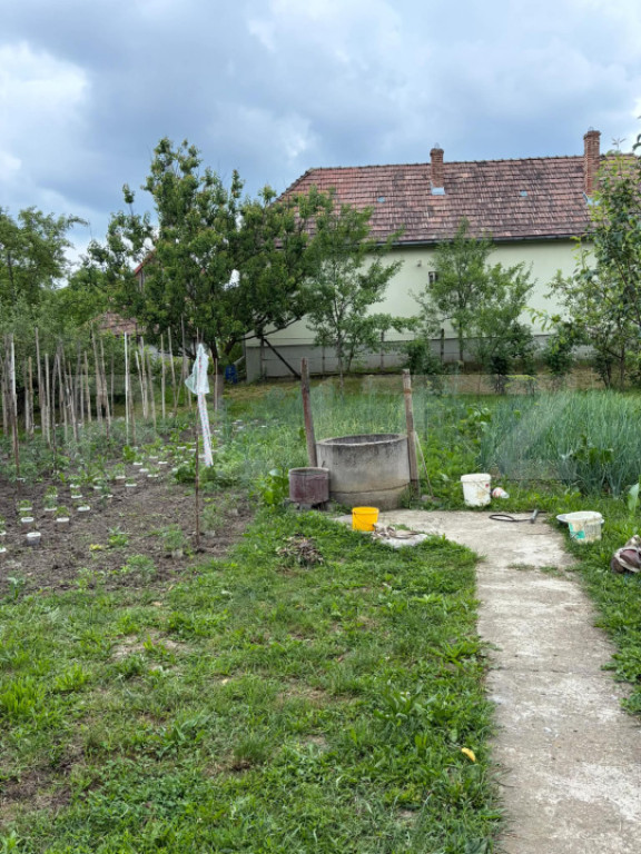 Casă 3 camere 80 mp utili | Teren 798 mp | sat Cornești, c