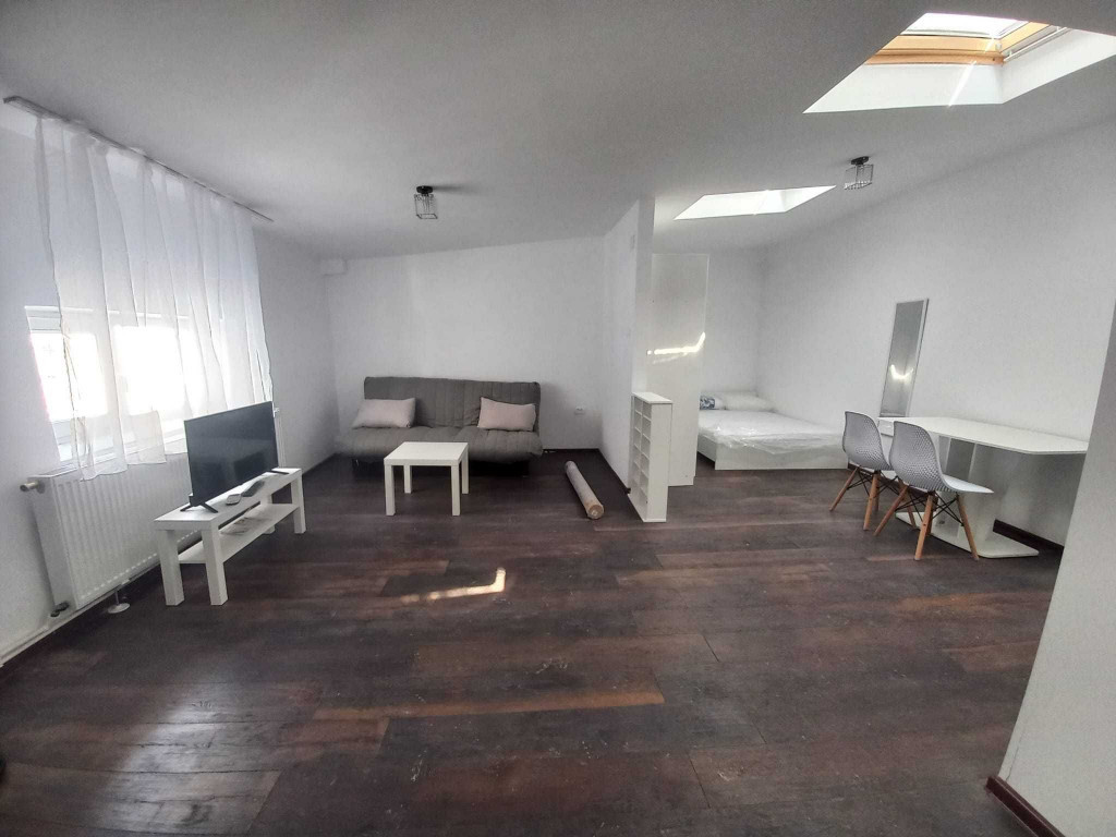 Iancului vila pet friendly etaj 3 studio