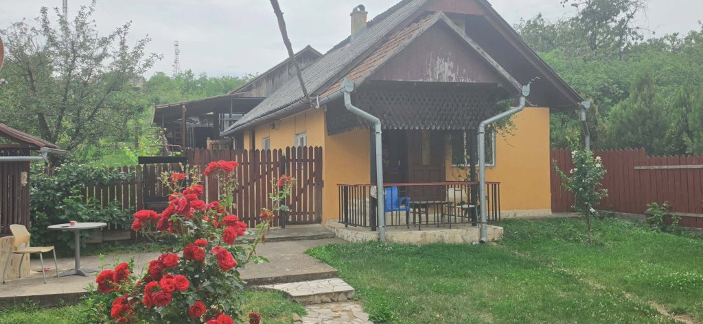 Casă cu teren 3.000 mp de vânzare, str. Adevărului