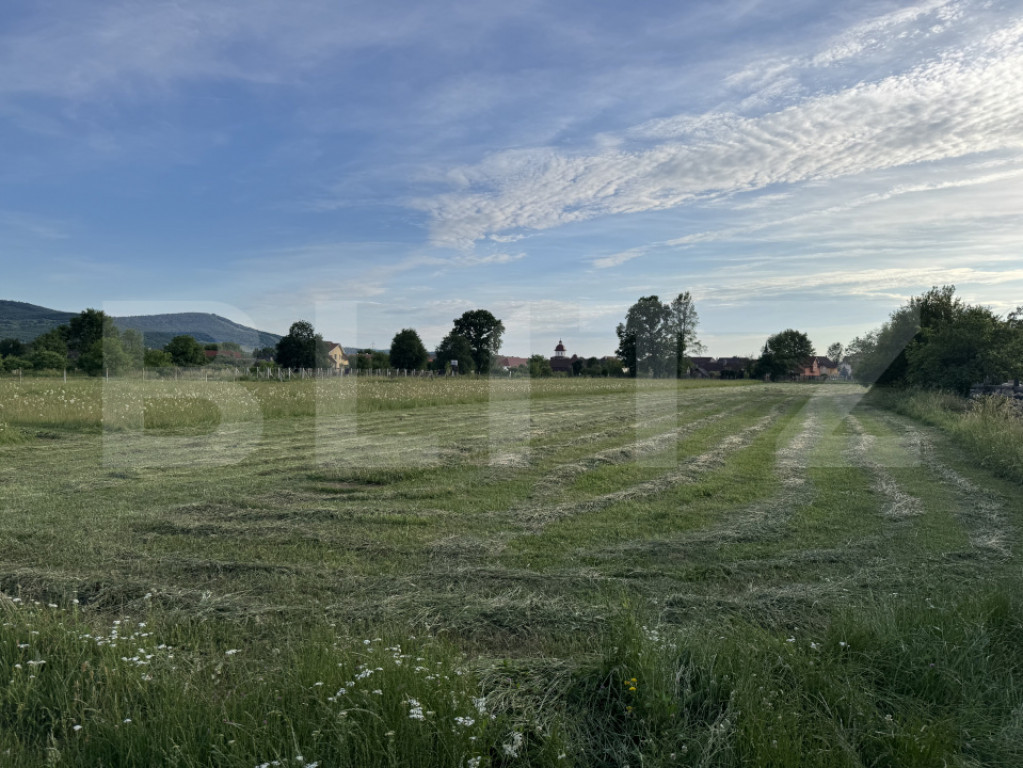 1600 mp de teren intravilan, situat într-o zonă liniștit?