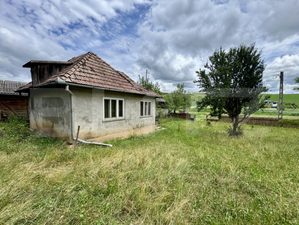 Vand casa 50 mp utili, 5000 mp teren in sat Draculea Bandulu
