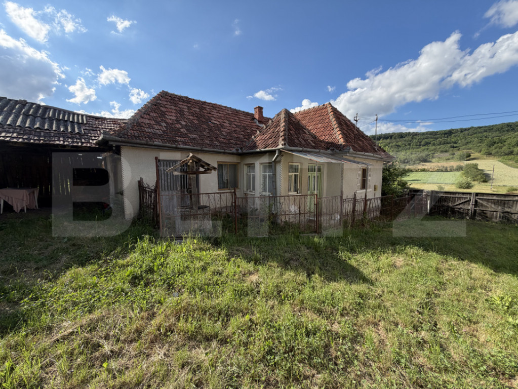 Casă cu 3 camere și un teren de 4100 mp