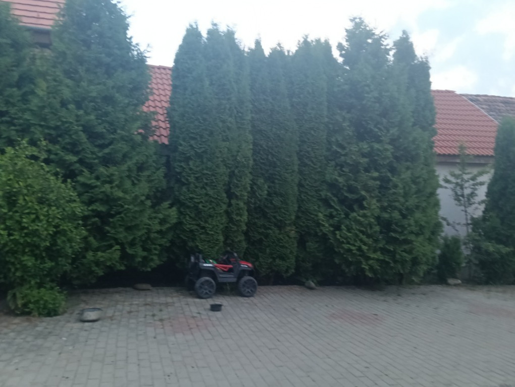 Casa de vânzare Saschiz