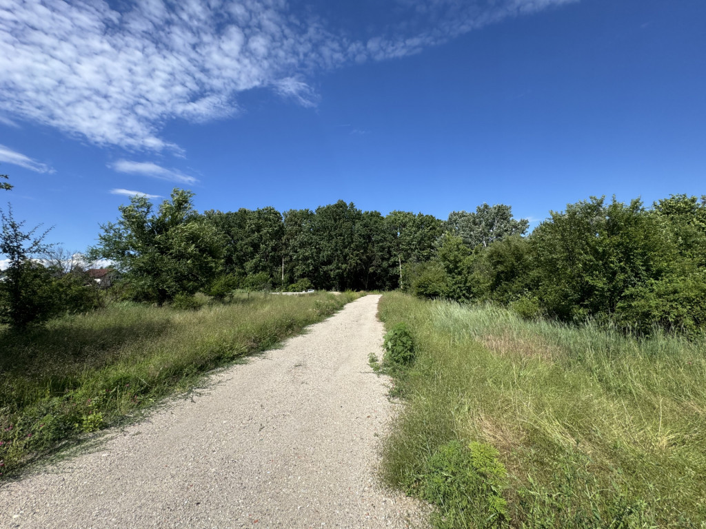 Teren 2761mp Ordoreanu Ilfov | Langa Padure | Utilitati