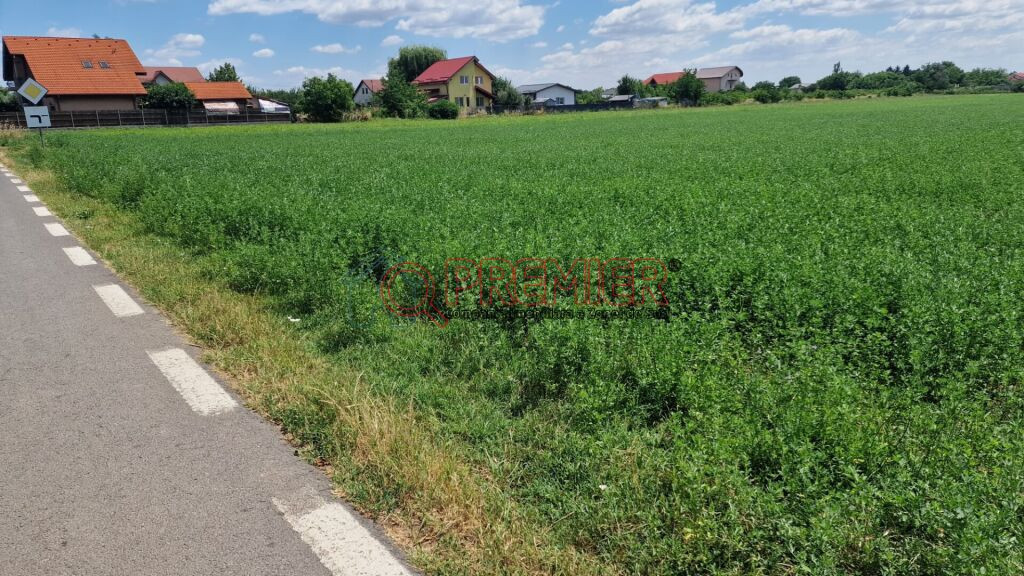 Teren intravilan 9.470 mp – Bolintin-Deal, locație