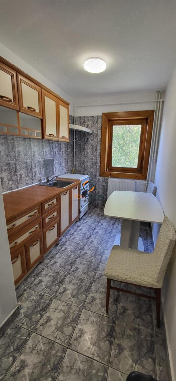 Apartament 1 Camera Decomandat Etaj 1 Zona Buziasului Aem