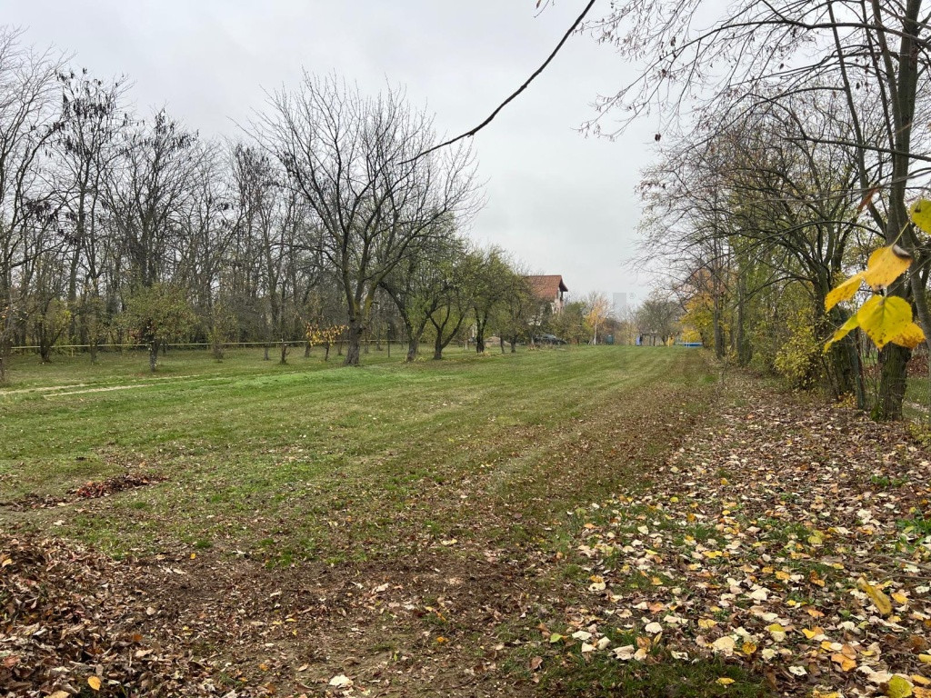 Teren cu deschidere la lac I Snagov