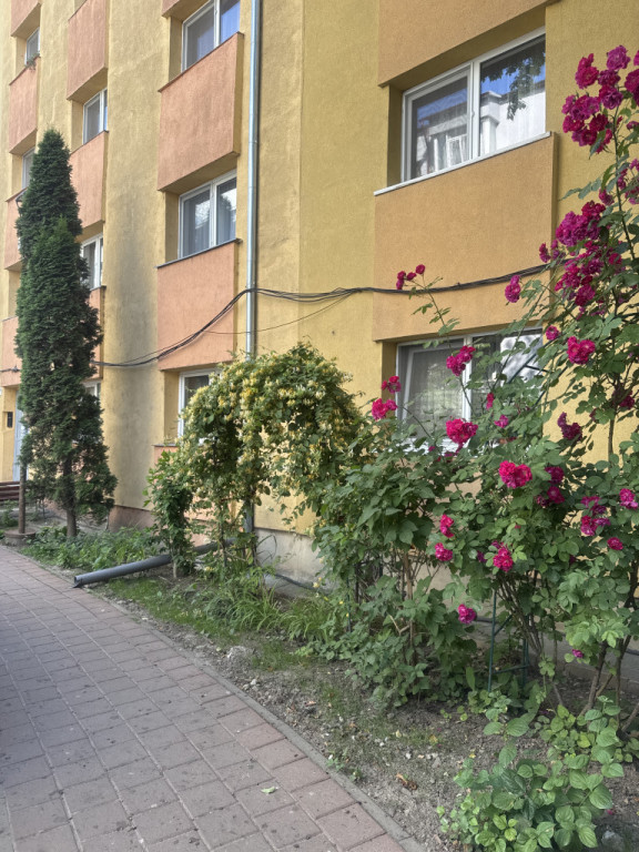 Apartament 3 camere George enescu