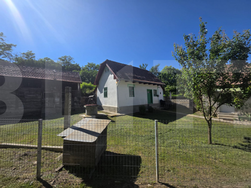 Casa traditionala din lemn, 40 mp, Sfântu Gheorghe