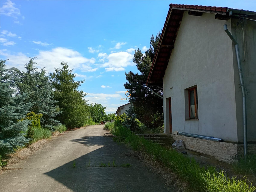 Hala industriala Casa 9650 mp teren