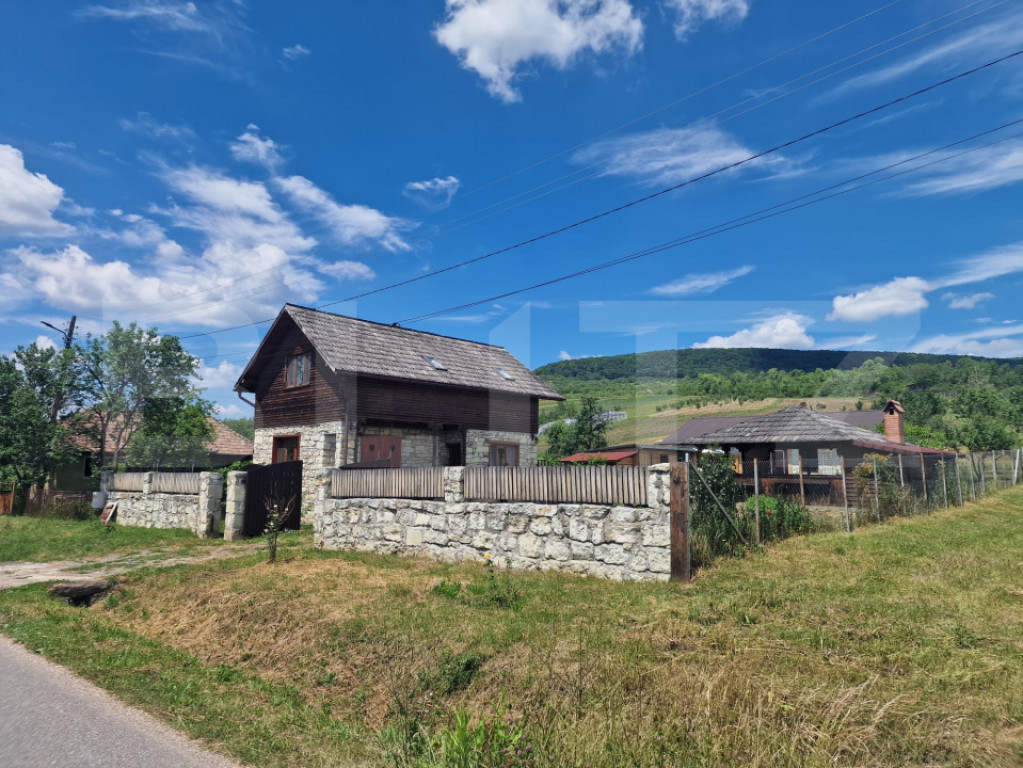 Casă cu 2 clădiri, foișor generos și teren de 3300 mp -