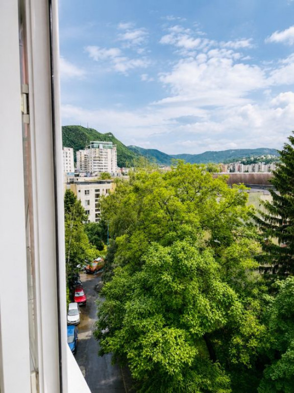 Apartament Bulevardul Victoriei Centrul Civic Brasov