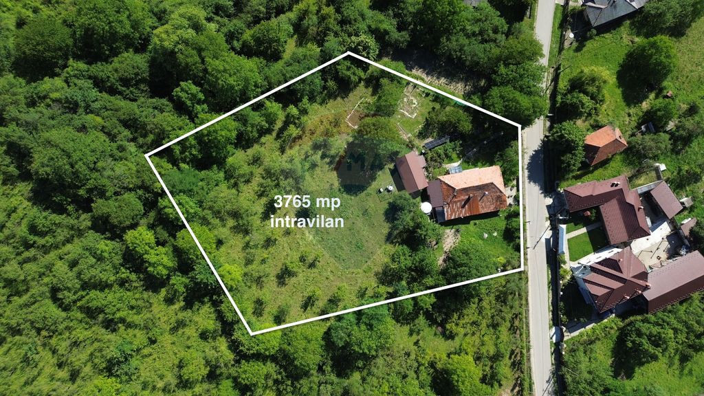 Casă de vânzare in natura la tara - Mihaesti