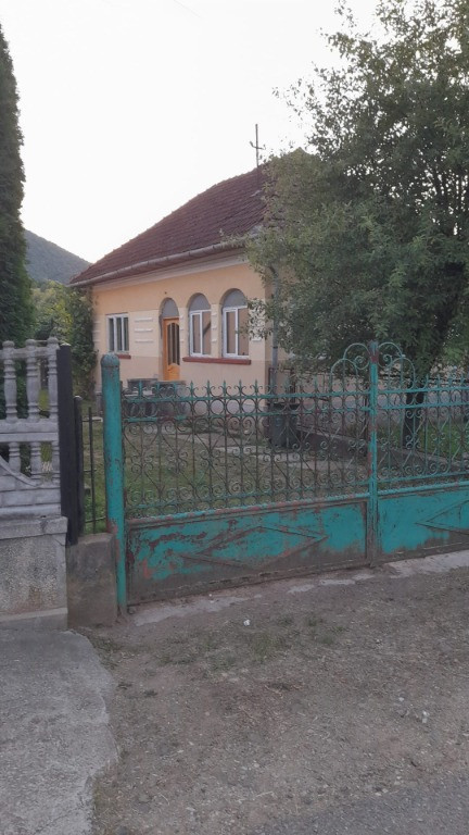 Casă de vanzare la țară Trestia