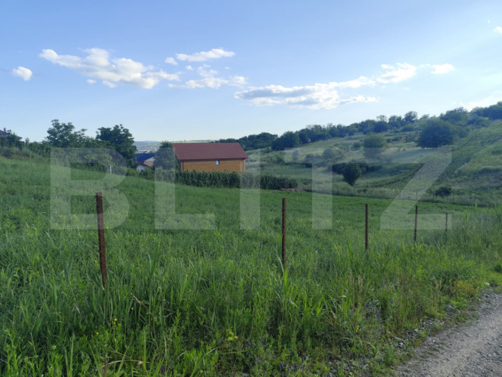 Teren 1529 mp Valea Lupului, pozitie deosebita
