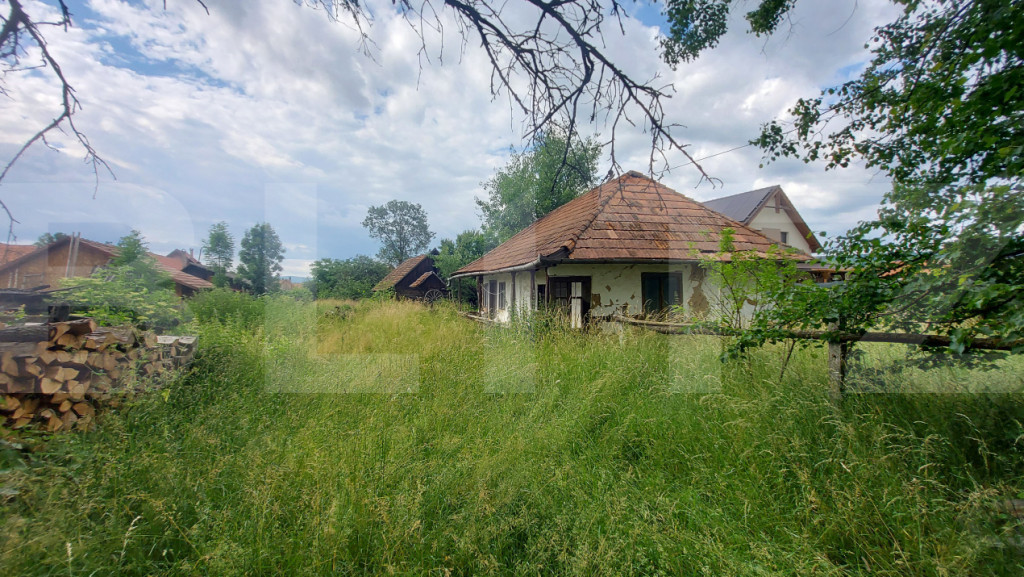 Proprietate cu potențial: 860 mp teren intravilan, casă ș