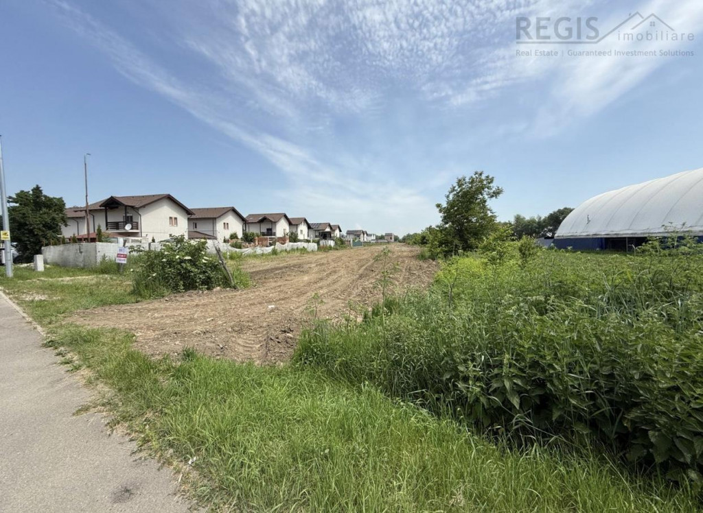Oportunitate Investitie Teren Stradal 5500 MP l Pentru Proie