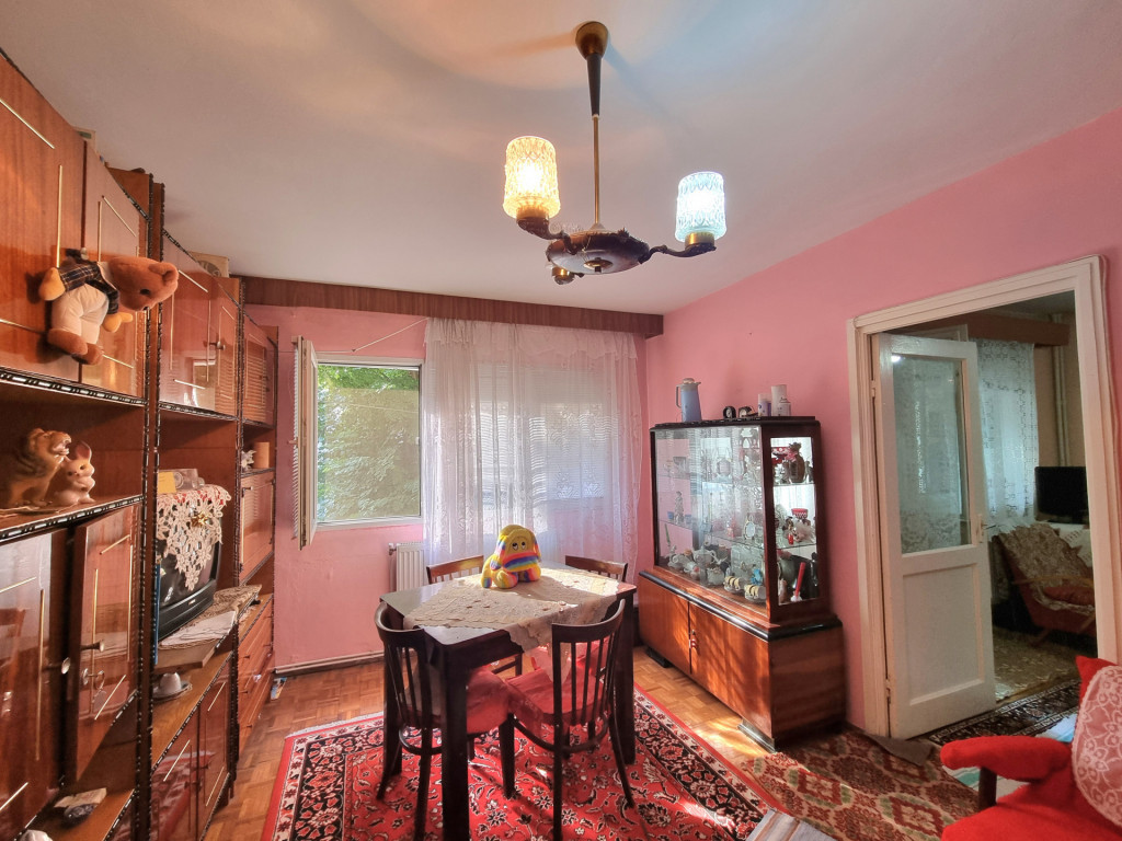 Ultracentral- Apartament 2 camere la etajul 1, cu parc lâng