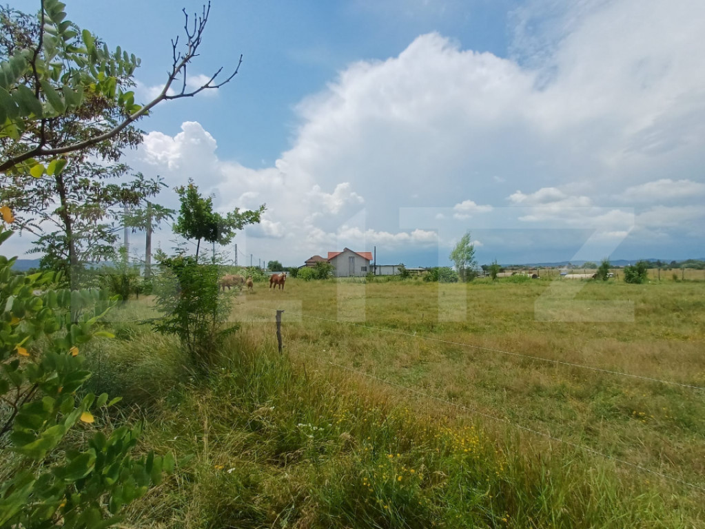 Teren intravilan de vanzare, 899 mp, zona Cornesti - Buduhal