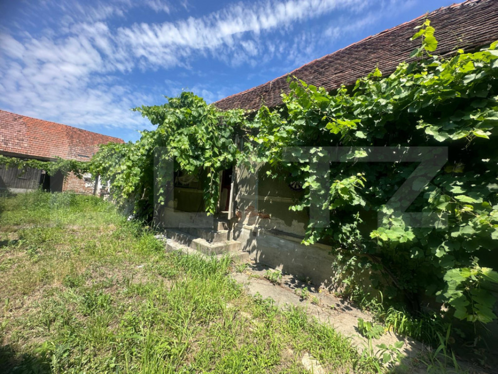 Casa de renovat 300mp, in Vinerea-Cugir