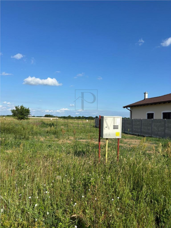 24 Terenuri- Mosnita Noua- TOATE UTILITATILE- zona in plina