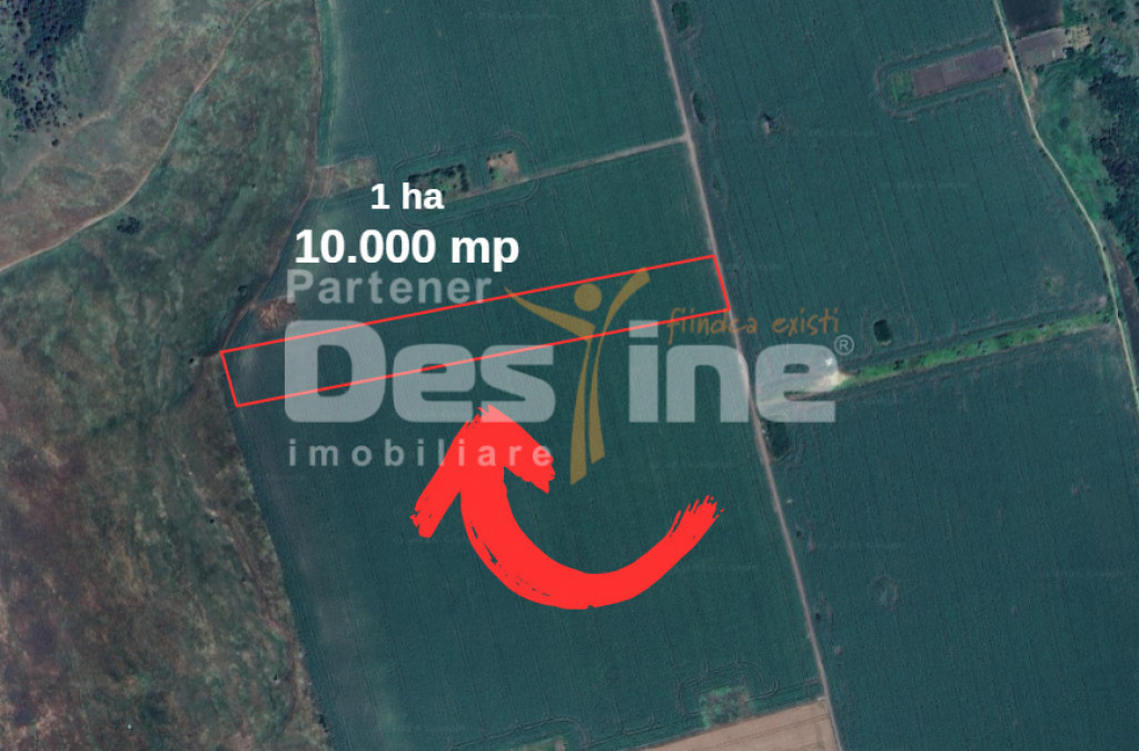 TEREN de vânzare | Extravilan | Valea Lupului 10.000 MP, 35