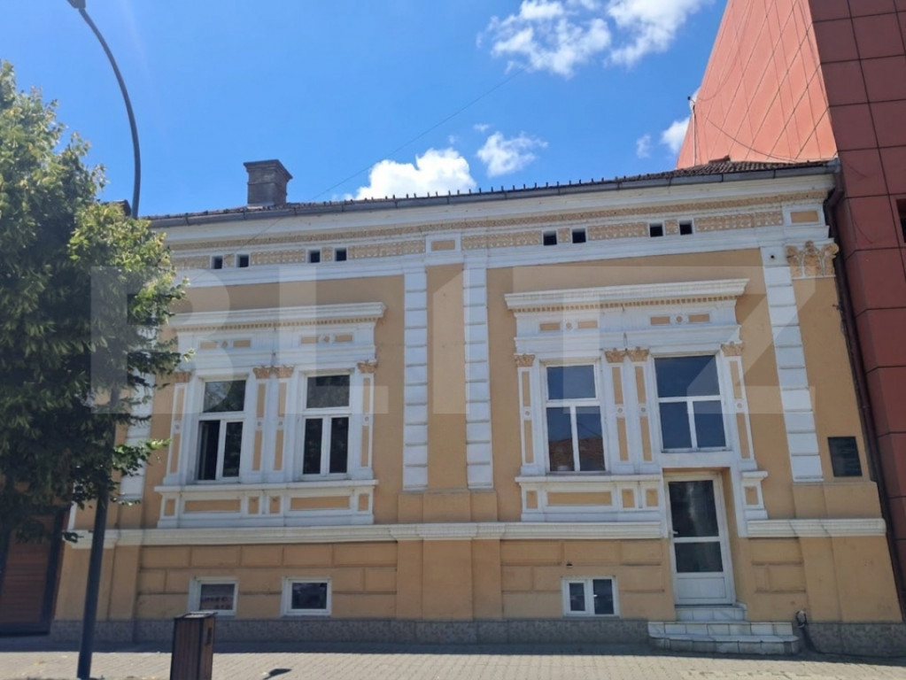 Spațiu comercial ultracentral, 190 mp + subsol 40 mp, Reghi
