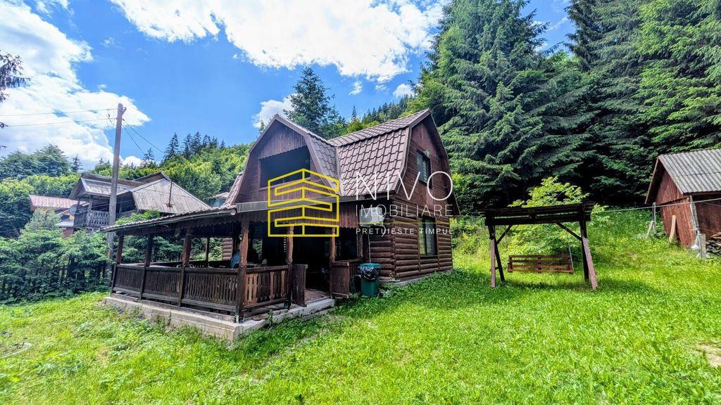 Cabană – Mureș – Sălard – Zona Pensiunea Denisa