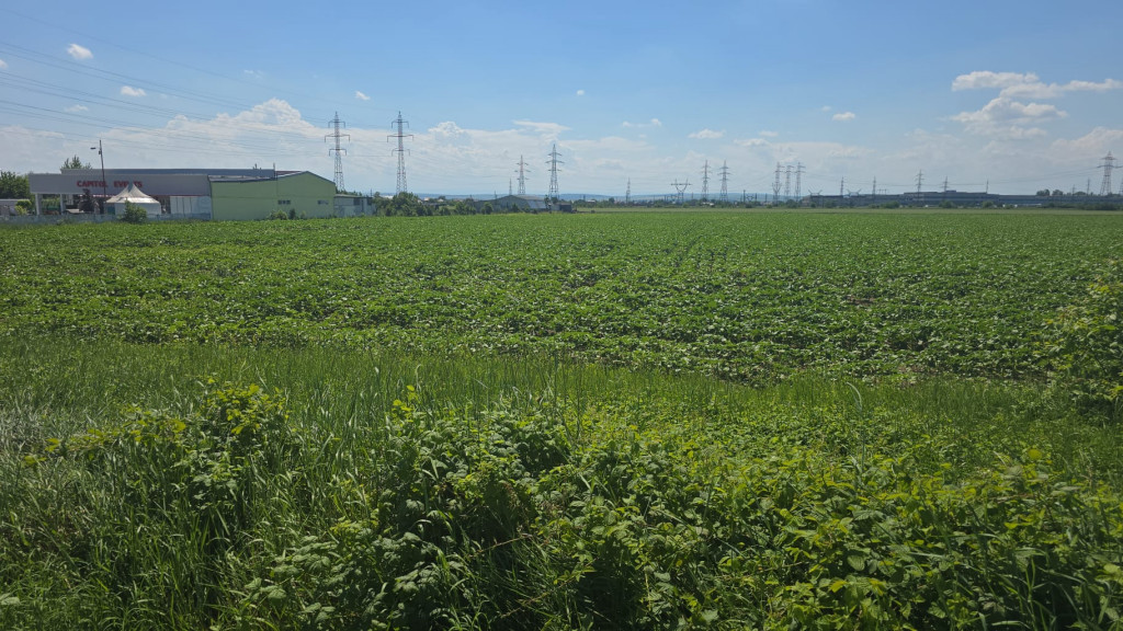 Teren intravilan pentru dezvoltare industrială/logistică ?
