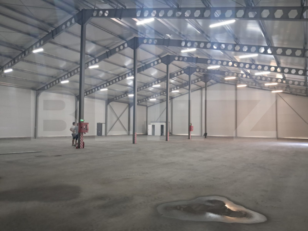 Hală nou construită, 1.260 mp, ideală pentru producție s