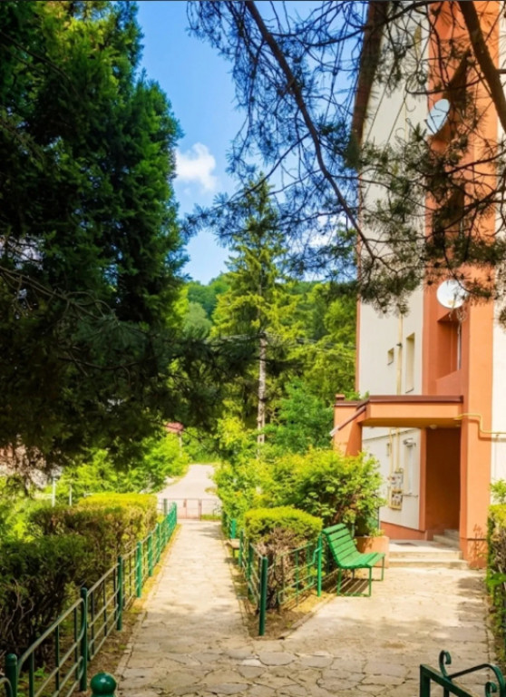 Oportunitate Investiție: Apart. 2 Camere în Bușteni | Ide
