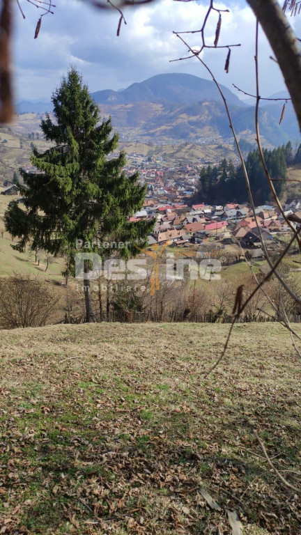 Teren 5000 mp, ideal cabana, pensiune, in zona de interes