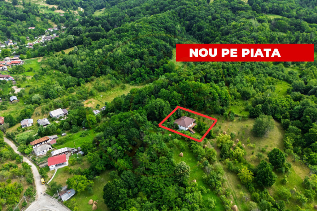 Proprietate de poveste în Corbi, Argeș - Doua case si 630
