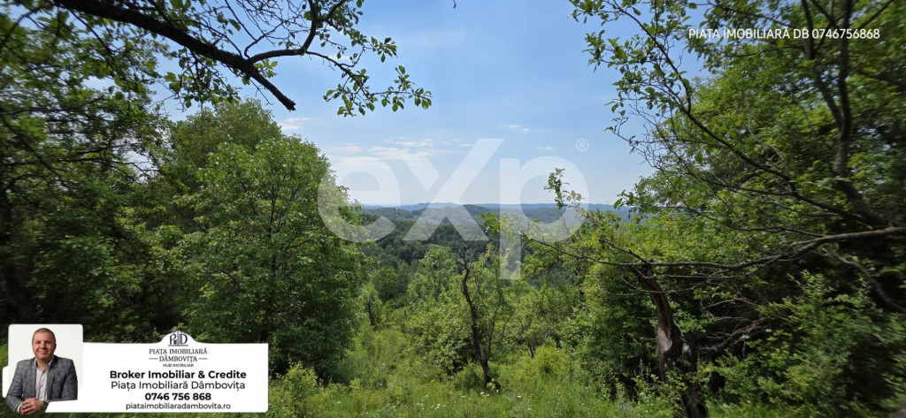 ???? OPORTUNITATE INVESTIȚIE TURISTICĂ | Panoramă de Vis
