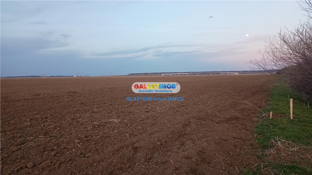 Teren intravilan 1.500 mp | Deschidere 25 ml | Utilități l