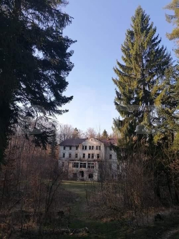 Vila printesei Sisi, 30 de camere, 3 ha, 2000 mp construiti,