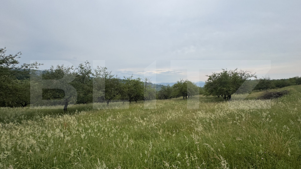 Teren extravilan 24.150 mp in zona Dorolea