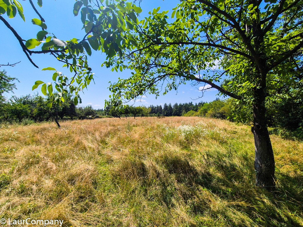 Teren intravilan Cotmeana Arges